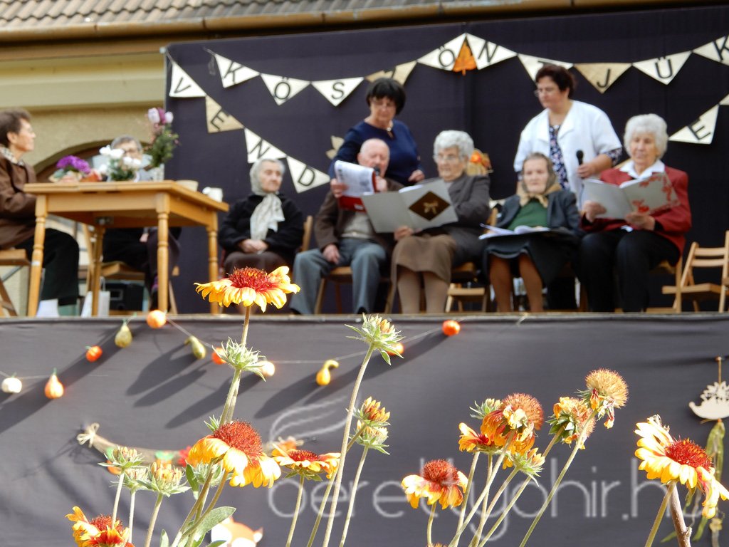 Családi nap a Fényes-házban 39